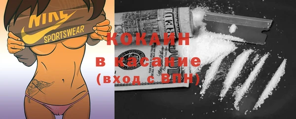шишки Арсеньев