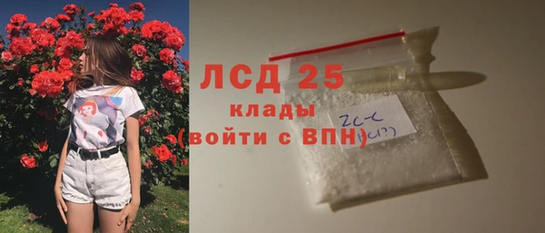 spice Аркадак