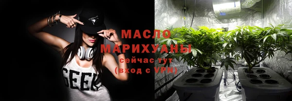 шишки Арсеньев