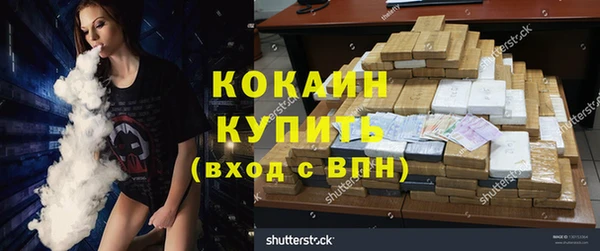 шишки Арсеньев