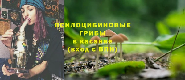 шишки Арсеньев
